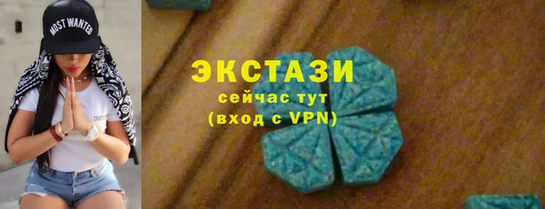 гидра Арсеньев