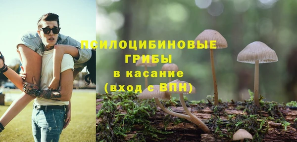 MDMA Premium VHQ Аркадак