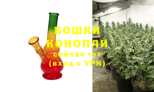 гидра Арсеньев