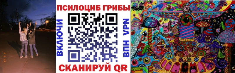 Купить закладки  Фролово  Псилоцибиновые грибы прущие грибы 