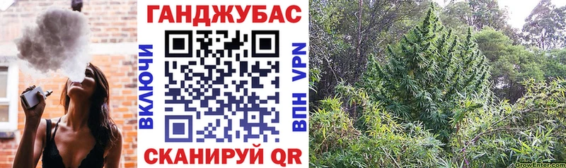 Купить где  Фролово  Марихуана семена 